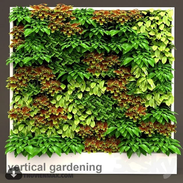 Vertical gardening 3